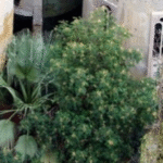 Antiga fábrica de cimento abandonada dos anos 1920 vira casa de luxo — com salas dentro de silos, escadas que ligam pátios e jardins e corredores que atravessam estruturas originais; ASSISTA VÍDEO