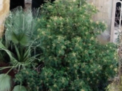 Antiga fábrica de cimento abandonada dos anos 1920 vira casa de luxo — com salas dentro de silos, escadas que ligam pátios e jardins e corredores que atravessam estruturas originais; ASSISTA VÍDEO