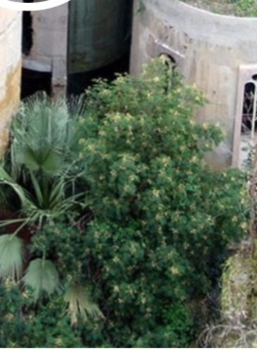 Antiga fábrica de cimento abandonada dos anos 1920 vira casa de luxo — com salas dentro de silos, escadas que ligam pátios e jardins e corredores que atravessam estruturas originais; ASSISTA VÍDEO