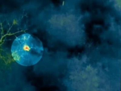 Saiba o que o CV planejava fazer com a polícia, revela investigação