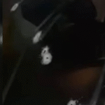 Mãe e filha são fuziladas com mais de 20 tiros dentro de carro no RJ