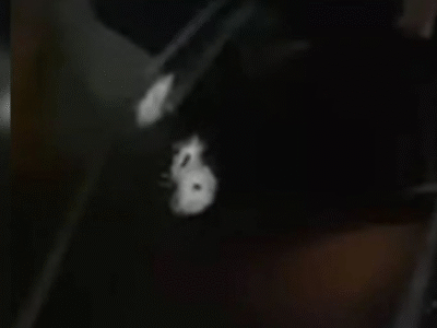 Mãe e filha são fuziladas com mais de 20 tiros dentro de carro no RJ