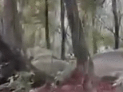 Imagens exclusivas mostram inicio do confronto em megaoperação no RJ; VEJA VÍDEO