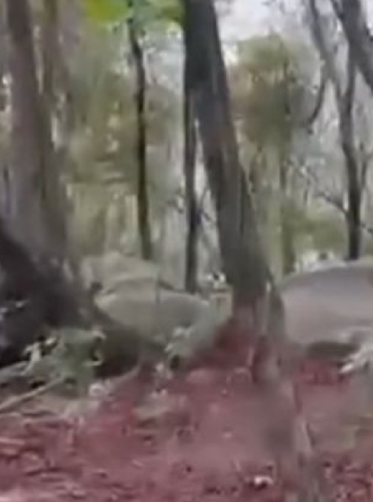 Imagens exclusivas mostram inicio do confronto em megaoperação no RJ; VEJA VÍDEO