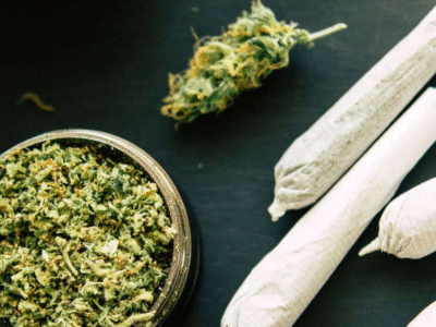 Vício em maconha pode ter motivação genética, diz pesquisa