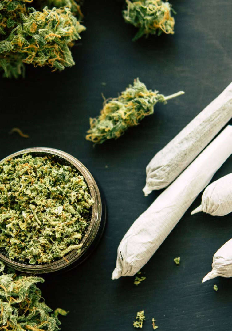 Vício em maconha pode ter motivação genética, diz pesquisa