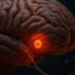 Cérebro tem ‘botão de dor’ escondido, diz pesquisa