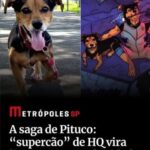 Trajetória de Pituco, o cãozinho herói de Marília, ganha repercussão nacional com reportagem especial no site Metrópoles. Símbolo de várias causas, ganhou o olhar da grande mídia. Veja
