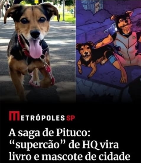 Trajetória de Pituco, o cãozinho herói de Marília, ganha repercussão nacional com reportagem especial no site Metrópoles. Símbolo de várias causas, ganhou o olhar da grande mídia. Veja