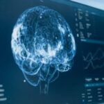 Colesterol tem papel decisivo na saúde do cérebro, apontam pesquisadores da Universidade do Texas. Antes era apenas vilão, especialmente por sua associação com AVC. Agora mudou. Entenda!