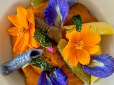 Concurso de Gastronomia Festival Gastropanc chega à sétima edição e acontece nos próximos dias em Vera Cruz. É o único do Brasil de receitas com plantas alimentícias não convencionais como ingredientes principais. Também é aberto ao público mediante reserva. Faça a sua aqui