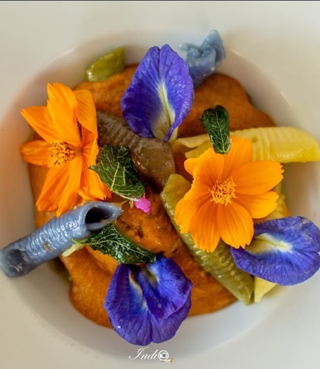 Concurso de Gastronomia Festival Gastropanc chega à sétima edição e acontece nos próximos dias em Vera Cruz. É o único do Brasil de receitas com plantas alimentícias não convencionais como ingredientes principais. Também é aberto ao público mediante reserva. Faça a sua aqui