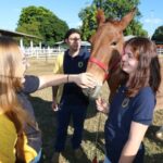 Mestrado Profissional da Unimar (referência em tecnologia) integra saúde animal e sustentabilidade no campo. Programa é multidisciplinar e está com inscrições abertas. Faça aqui