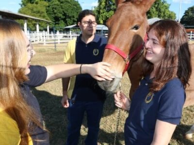 Mestrado Profissional da Unimar (referência em tecnologia) integra saúde animal e sustentabilidade no campo. Programa é multidisciplinar e está com inscrições abertas. Faça aqui