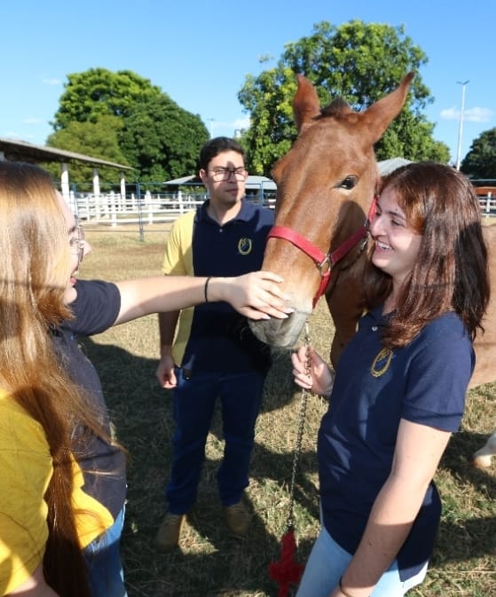 Mestrado Profissional da Unimar (referência em tecnologia) integra saúde animal e sustentabilidade no campo. Programa é multidisciplinar e está com inscrições abertas. Faça aqui
