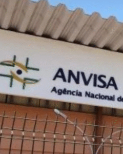 Anvisa suspende pratos de plástico por risco de contaminação química