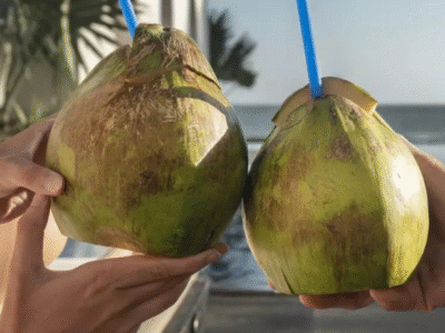 Água de coco todo dia faz bem? Nutricionista explica benefícios e riscos