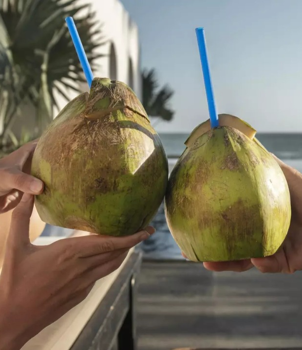Água de coco todo dia faz bem? Nutricionista explica benefícios e riscos