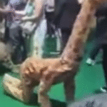 VÍDEO: COP30 vira circo verde: atores fantasiados rastejam em nome da biodiversidade; ASSISTA