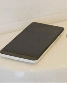 O hábito comum de usar o celular no banheiro pode causar problemas sérios na sua saúde