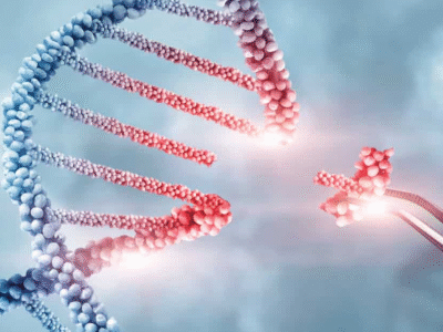 Vale do Silício financia pesquisas de edição genética em embriões humanos