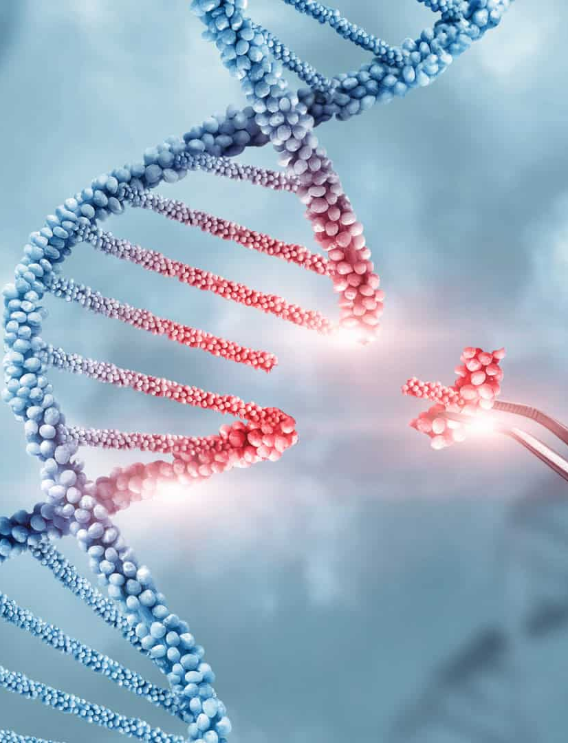 Vale do Silício financia pesquisas de edição genética em embriões humanos