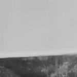 Chuva causa infiltração em área de imprensa da COP30, em Belém; VEJA VÍDEO