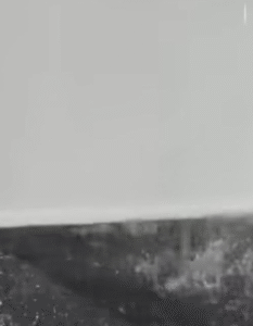 Chuva causa infiltração em área de imprensa da COP30, em Belém; VEJA VÍDEO