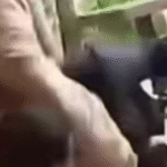 Repórter do ‘JN’ sofre ataque enquanto apurava golpes contra segurados do INSS; VEJA VÍDEO