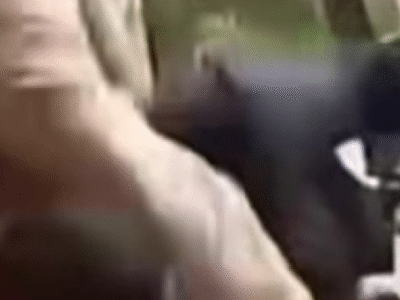 Repórter do ‘JN’ sofre ataque enquanto apurava golpes contra segurados do INSS; VEJA VÍDEO