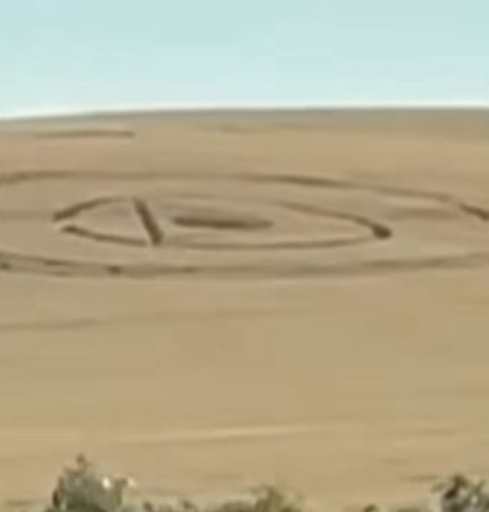 IMPRESSIONANTE: desenho aparece em plantação no Brasil e equipe da Record tem surpresa no local; VEJA VÍDEO