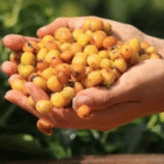 Para onde vão os cafés mais premiados do Brasil, que custam até mais de R$ 1 mil o quilo