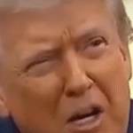 Trump detona repórter da ABC no Salão Oval e expõe arrogância da mídia ‘manipulada’; VEJA VÍDEO