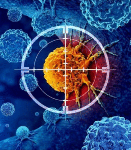 Pesquisadores descobrem como reativar células de defesa exaustas e reforçar combate ao câncer