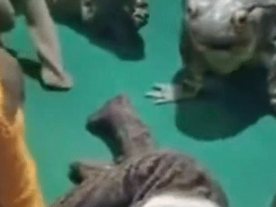 Após o ‘mico’ na abertura da COP30, atores protestam por não terem sido remunerados; VEJA VÍDEO