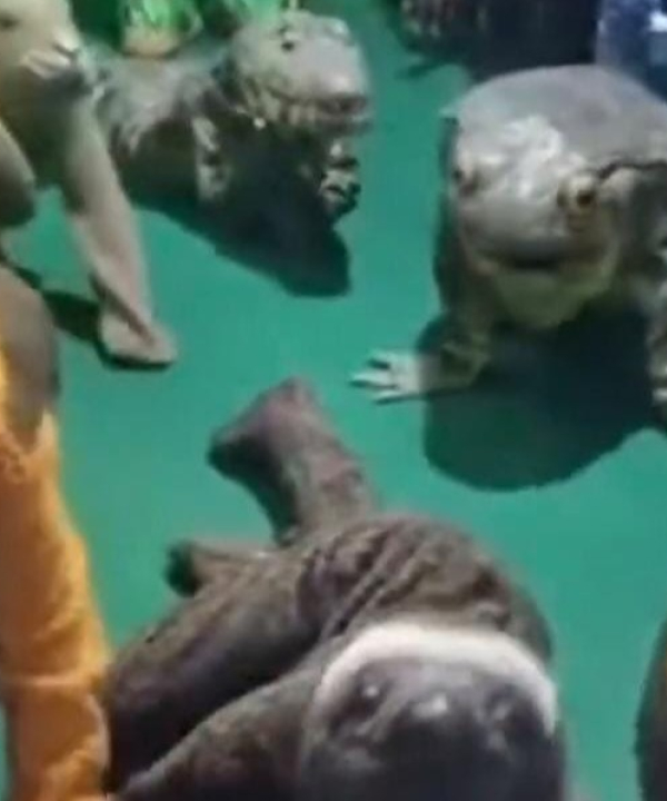 Após o ‘mico’ na abertura da COP30, atores protestam por não terem sido remunerados; VEJA VÍDEO