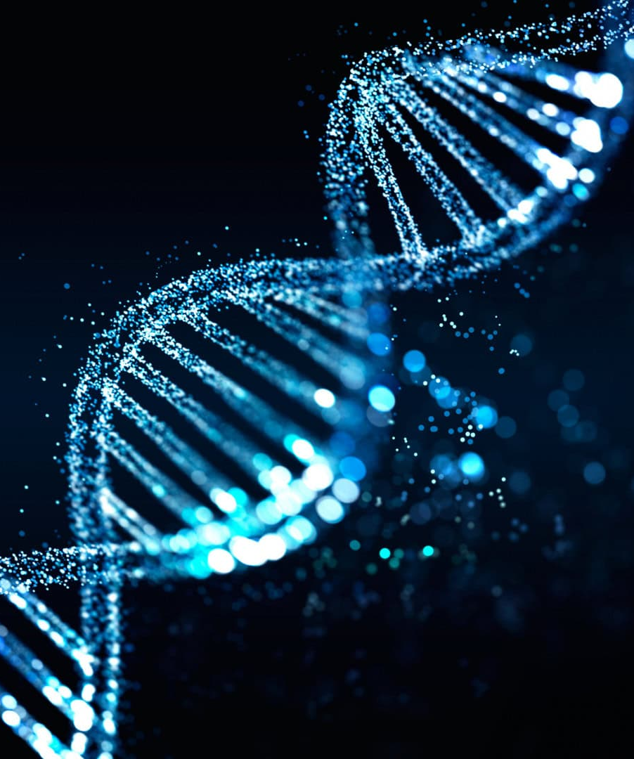 IA usa ‘árvore da vida’ para prever mutações que causam doenças raras