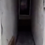 Crise habitacional na China expõe imóveis de apenas 40 cm sendo alugados por 1 dólar; VEJA VÍDEO