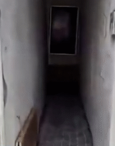 Crise habitacional na China expõe imóveis de apenas 40 cm sendo alugados por 1 dólar; VEJA VÍDEO