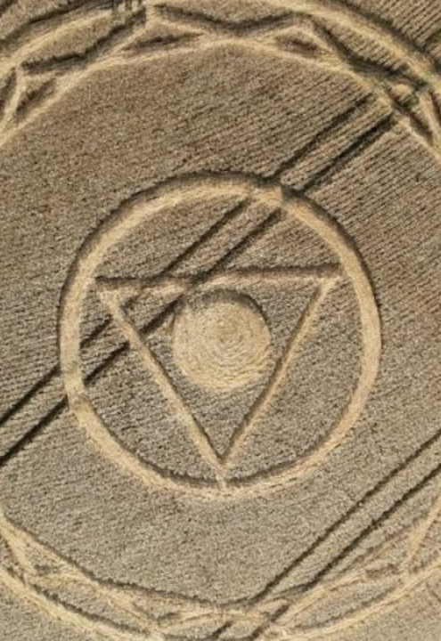 Agroglifo com formato misterioso surge no meio de plantação em cidade