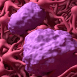 O que é a barreira hematoencefálica? Entenda como ela protege o cérebro de doenças