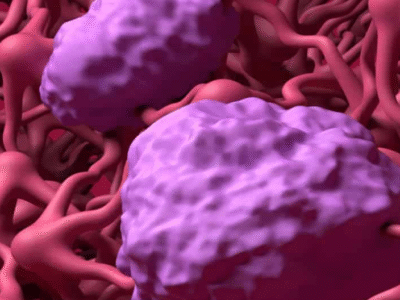 O que é a barreira hematoencefálica? Entenda como ela protege o cérebro de doenças