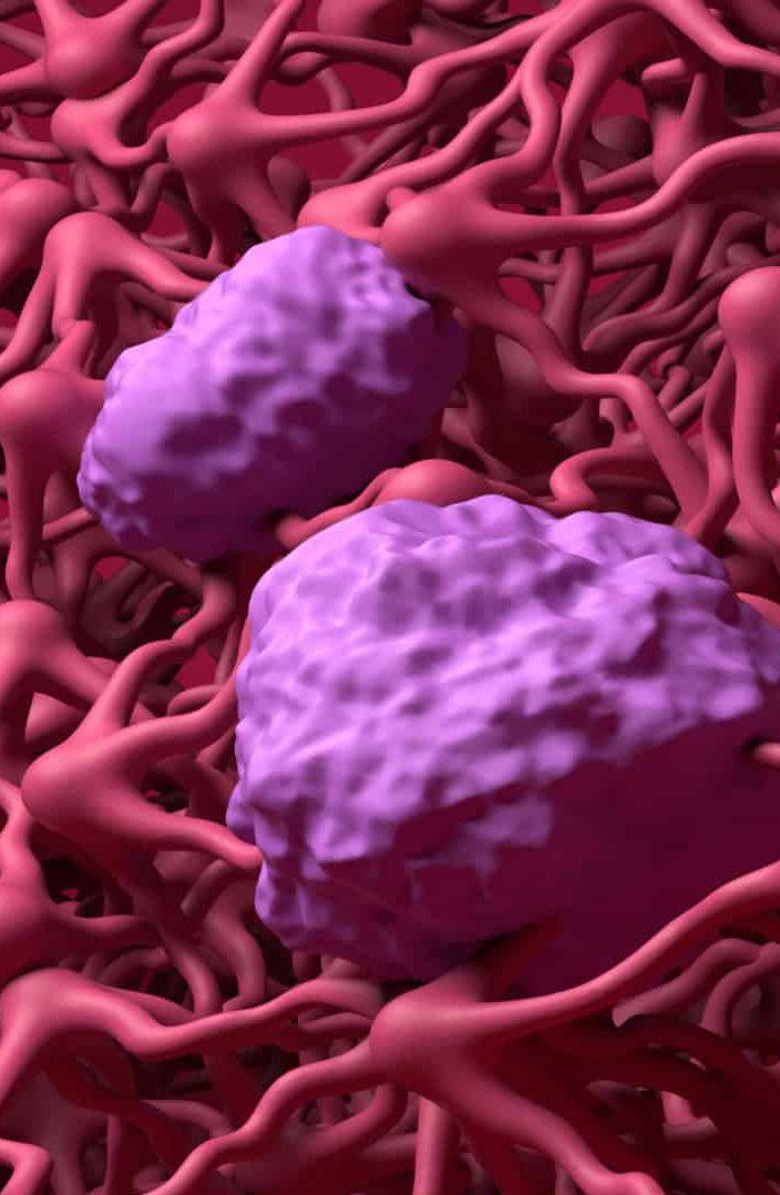 O que é a barreira hematoencefálica? Entenda como ela protege o cérebro de doenças