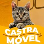 Castramóvel em janeiro. Prefeitura anuncia atendimento gratuito para cães e gatos. Os cadastros já estão abertos pelo telefone da Secretaria do Meio Ambiente e Serviços Públicos. Faça por aqui