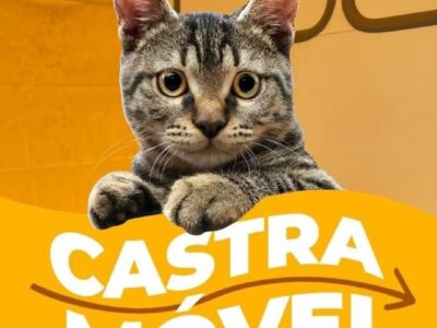 Castramóvel em janeiro. Prefeitura anuncia atendimento gratuito para cães e gatos. Os cadastros já estão abertos pelo telefone da Secretaria do Meio Ambiente e Serviços Públicos. Faça por aqui