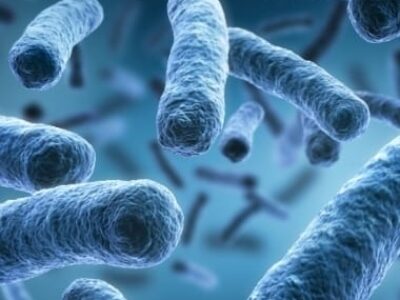 Alerta: por que o recente aumento da resistência antimicrobiana é tão preocupante. Uso inadequado de medicamentos provoca aumento da resistência que já ultrapassou 40%