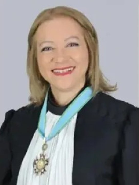 A desembargadora que libertou Vorcaro foi representada pelo mesmo advogado do banqueiro