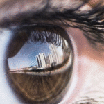 Pesquisadores encontram circuito cerebral que decide o que você deve enxergar; ENTENDA