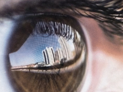 Pesquisadores encontram circuito cerebral que decide o que você deve enxergar; ENTENDA