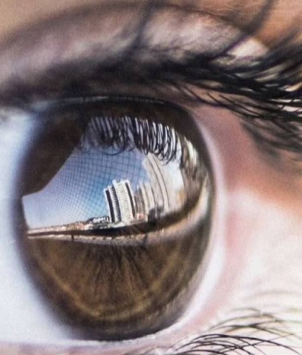 Pesquisadores encontram circuito cerebral que decide o que você deve enxergar; ENTENDA